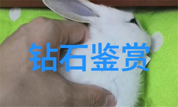 在闪耀的光芒中你是否曾梦想着有一双独一无二的定制钻戒镌刻着你与爱人的故事