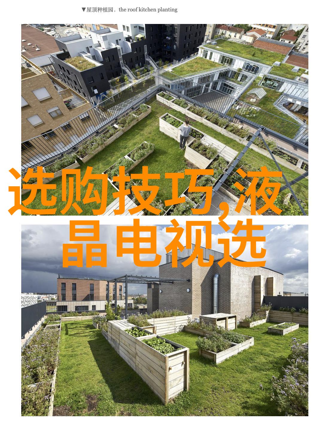穿越时空一封未寄的信带我回到现代