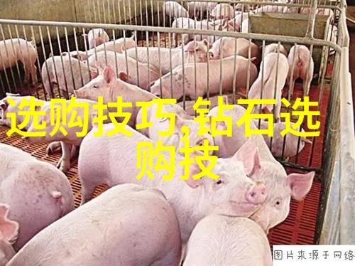 世界十大蓝钻宝石市场上最受欢迎的十种蓝色钻石