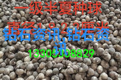 影像魔师导演如何操控时间与空间唤醒电影世界的秘密