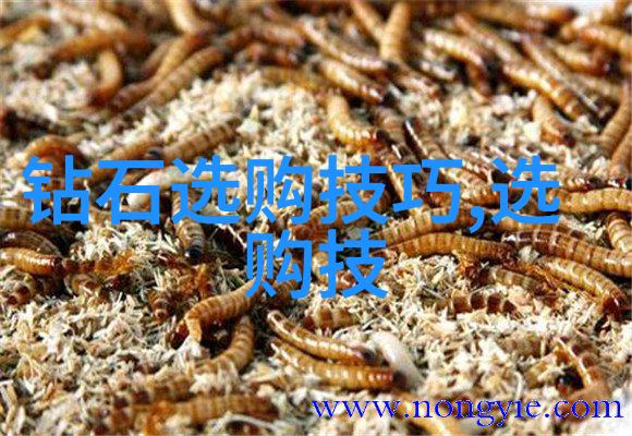 中国文化的独特魅力纵深探索与现代视角