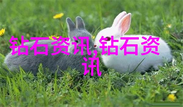 玉石鉴赏艺术探索玉石的文化与美学