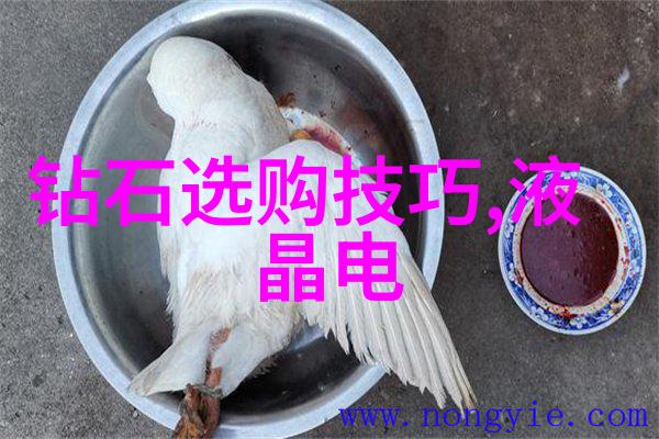 深入探索中华文化的精髓对中国传统文化的理解与体会