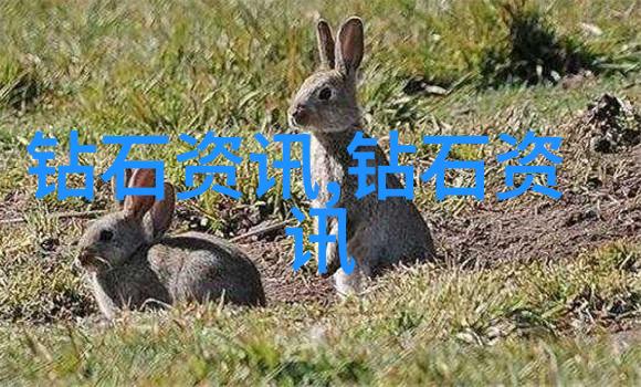 宝石的迷雾揭秘玉石鉴赏之谜