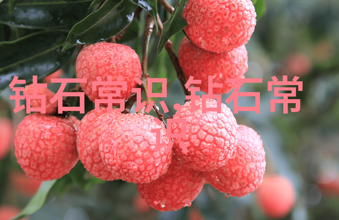 瑜伽教练瑜伽指导师瑜伽课程瑜伽练习
