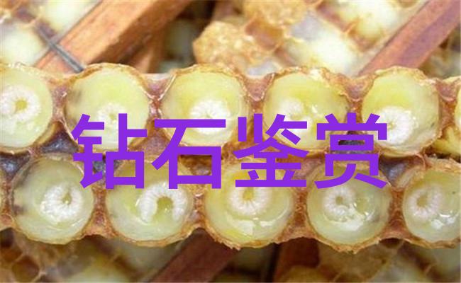如何鉴定翡翠的真假-翡翠秘籍揭秘辨别真伪的艺术