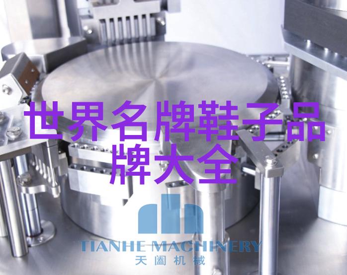 中国企业500强-领航者剖析中国企业500强的成就与挑战
