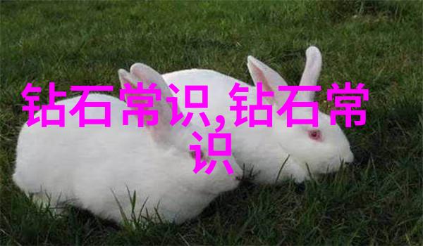 企业运营策略与管理创新探究