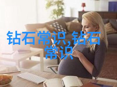 软件的秘密花园探索小婷的Soft Magic