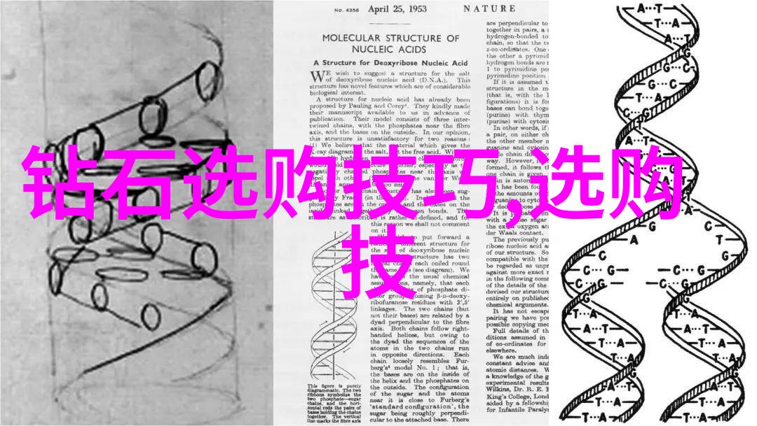 痛苦的轮回一份被忽视的声音