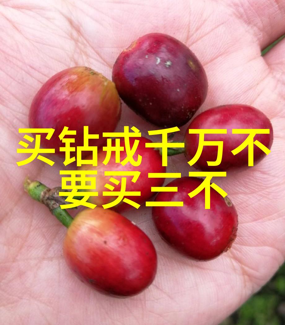 公交车轮C我可是好多人我的公共交通日常被轮子碾过的无奈与幽默
