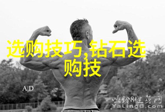 珠光璀璨的秘密宝石项链的传奇故事