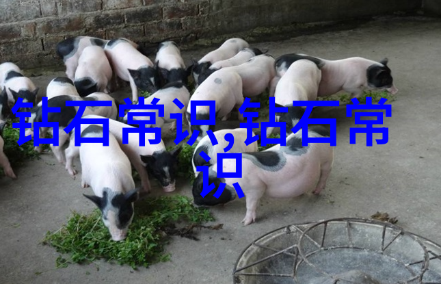 产品生产工艺流程图详细的制造步骤展示