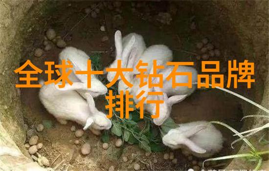 钻石戒指店爱情的闪光与商业的暗度