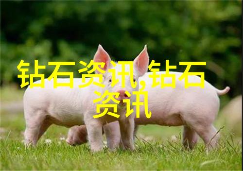 宝石与材料的魔术工艺学的奇迹之旅