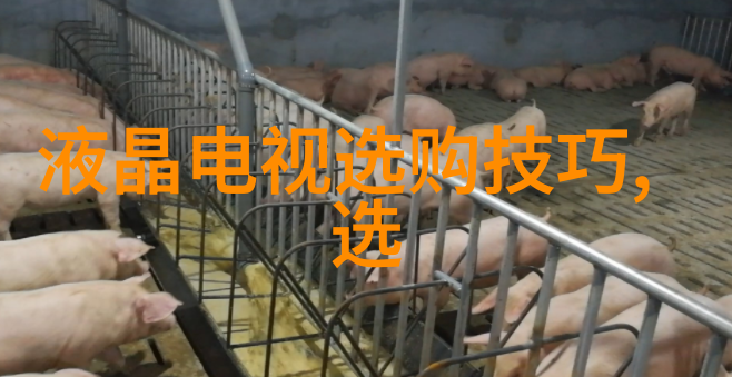 和田玉鉴定专家共享揭秘证书认证的真伪之道