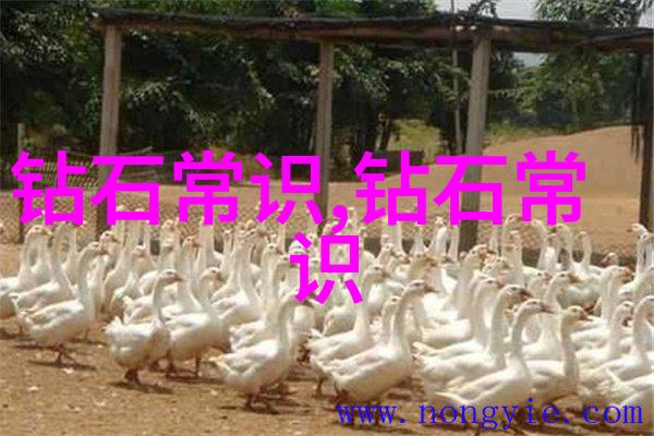 冰种翡颜值高达新星详解其成分性价比及鉴定方法