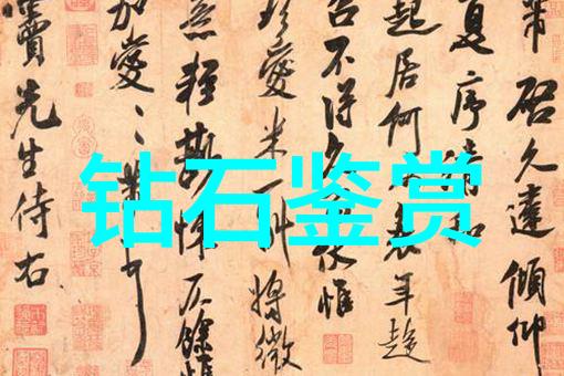 美食大师探索中国传统饮食文化