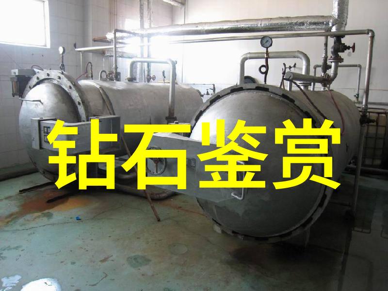 极品家丁全文总结忠诚与智慧的交响曲