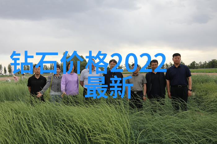 垂涎浅小说中的诱惑与沉沦