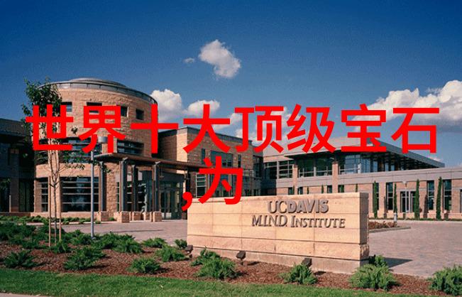 老板是极品职场生存的艰难历程