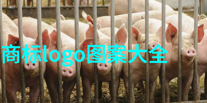 珠宝美学-璀璨夺目探索好看的珠宝图片欣赏艺术