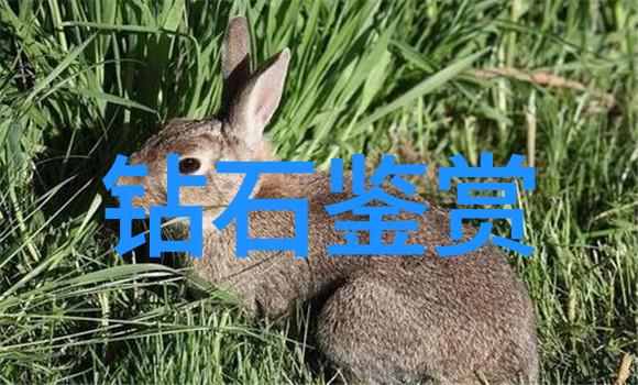 中国民间工艺品艺术中国传统手工艺品介绍