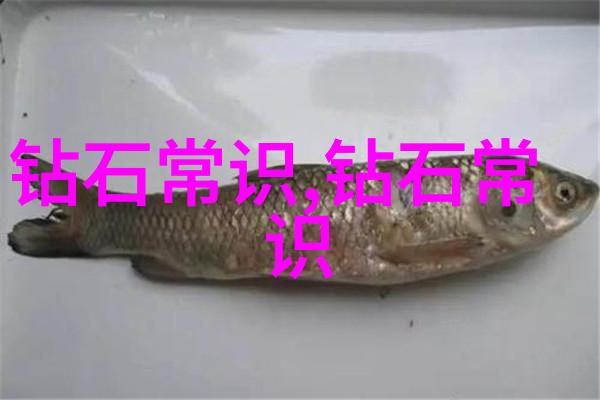 中国文化的丰富魅力传统艺术节日庆典哲学思想