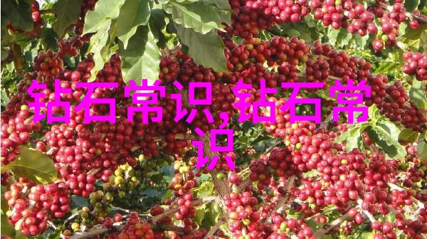 全球钻石宝石排行榜的辉煌历程与传奇故事