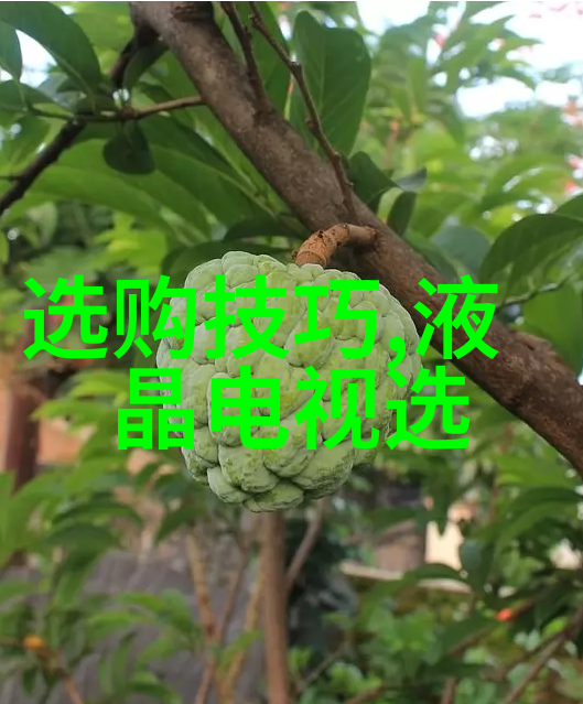 主题我来告诉你那些最受欢迎的中国珠宝品牌