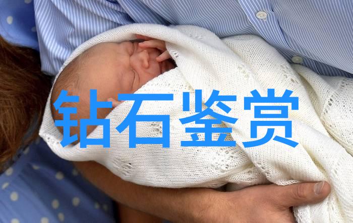 传统文化的智慧与魅力
