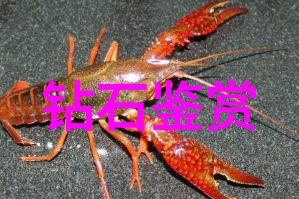 中国珠宝首饰行业协会和田玉与俄料的区别犹如天上的北斗与地上的炬火璀璨夺目而又各具特色