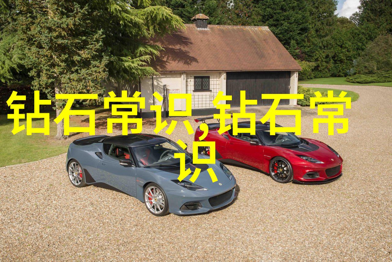 海柳我和海柳的故事从那片风中摇曳的树林开始
