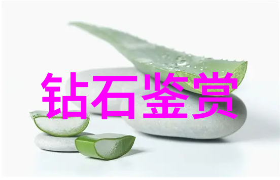 八大珍贵饰品种类全解析从古典珠宝到现代时尚装饰