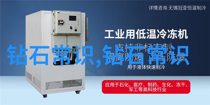 文化探究-解读文化理解传统与现代的交汇之处