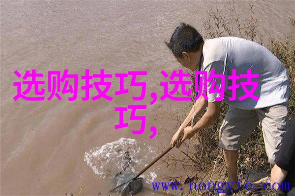 如何辨别好看的羊脂玉珠宝图片中的真伪反复品鉴揭秘其精致之美