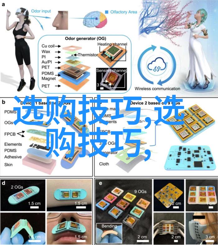 萝卜头的奇遇从田间到餐桌的历程