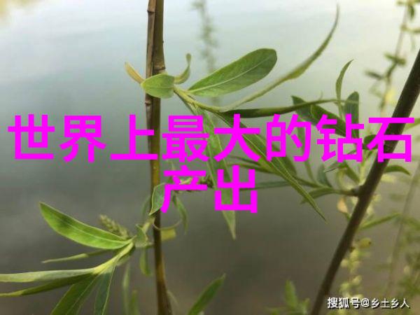 婚戒我为何选择了这双让人心动的定情之物