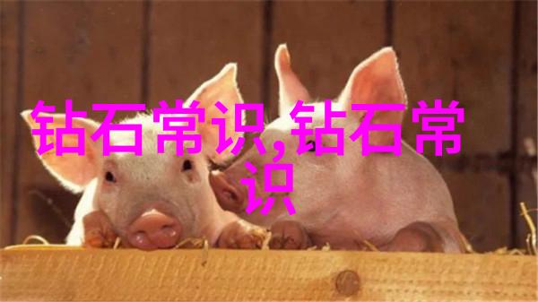 工艺过程的概念精细制造技术与流程优化