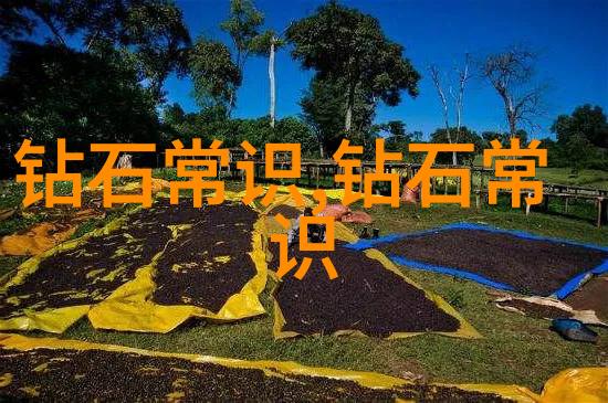 骄阳伴我夏日游记