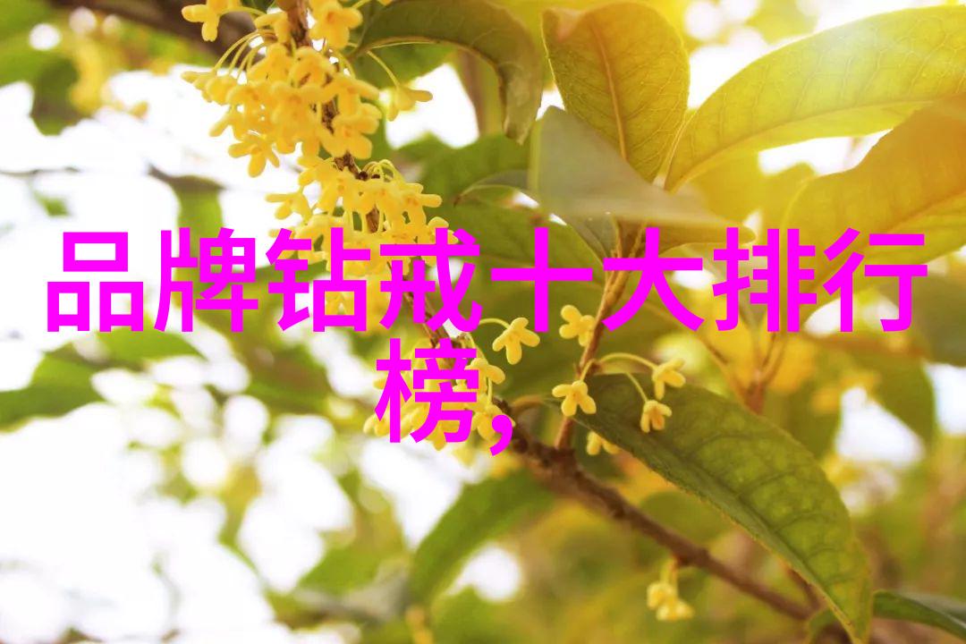 钻石鉴赏钻石投资与收藏的攻略