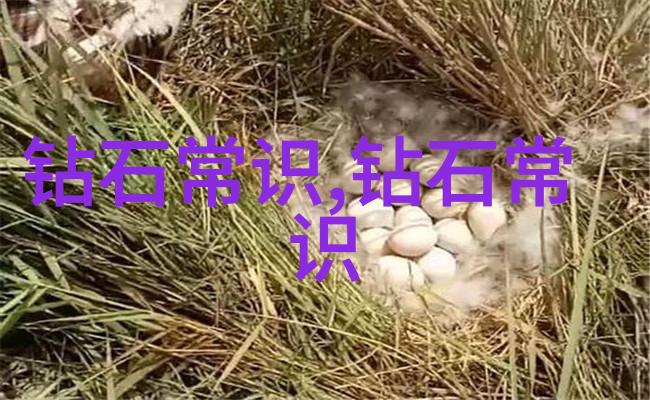 木制工艺品图片大全-手工木艺探索自然之美的艺术