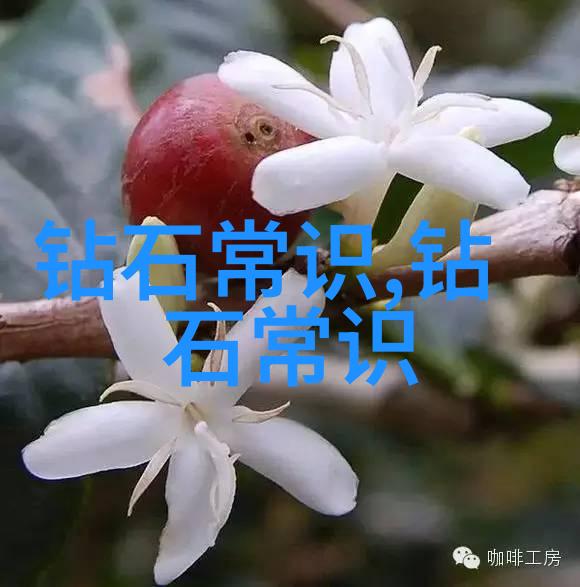 笑果文化开启快乐生活的艺术品味