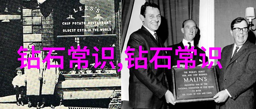 睡前故事3-6岁我的魔法森林小熊与星星的秘密会面