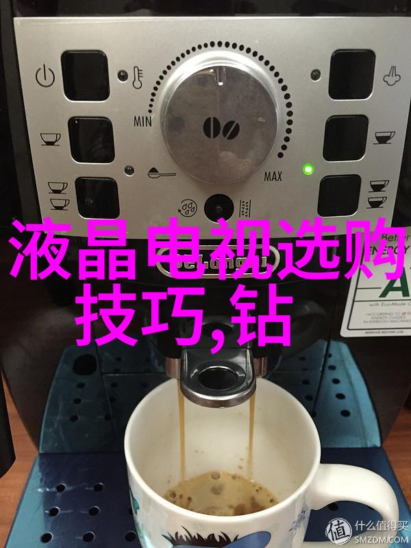 流浪猫与星辰之旅