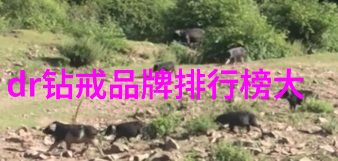 翡翠宝石的秘密世界上哪十块翡翠被认为是最顶级的