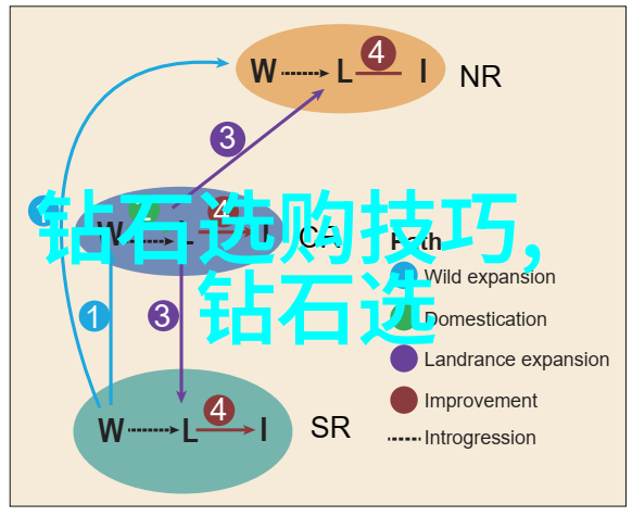 紫府仙缘全文阅读-探秘紫府仙缘全文阅读穿越神话重生之谜