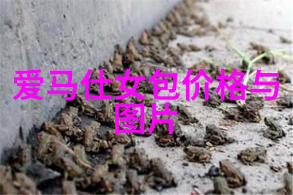 翡翠之谜证书背后的真相究竟是怎样的
