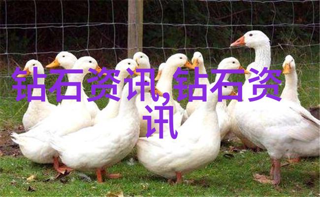 守护记忆传承情感关于寶慶銀樓的一些思考