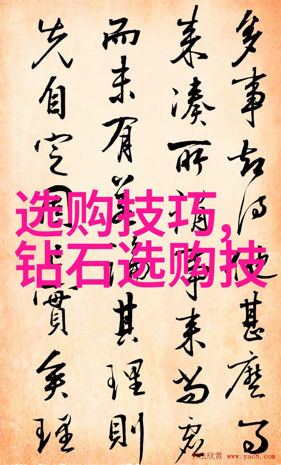 企业家梦想工商管理专业的未来世界